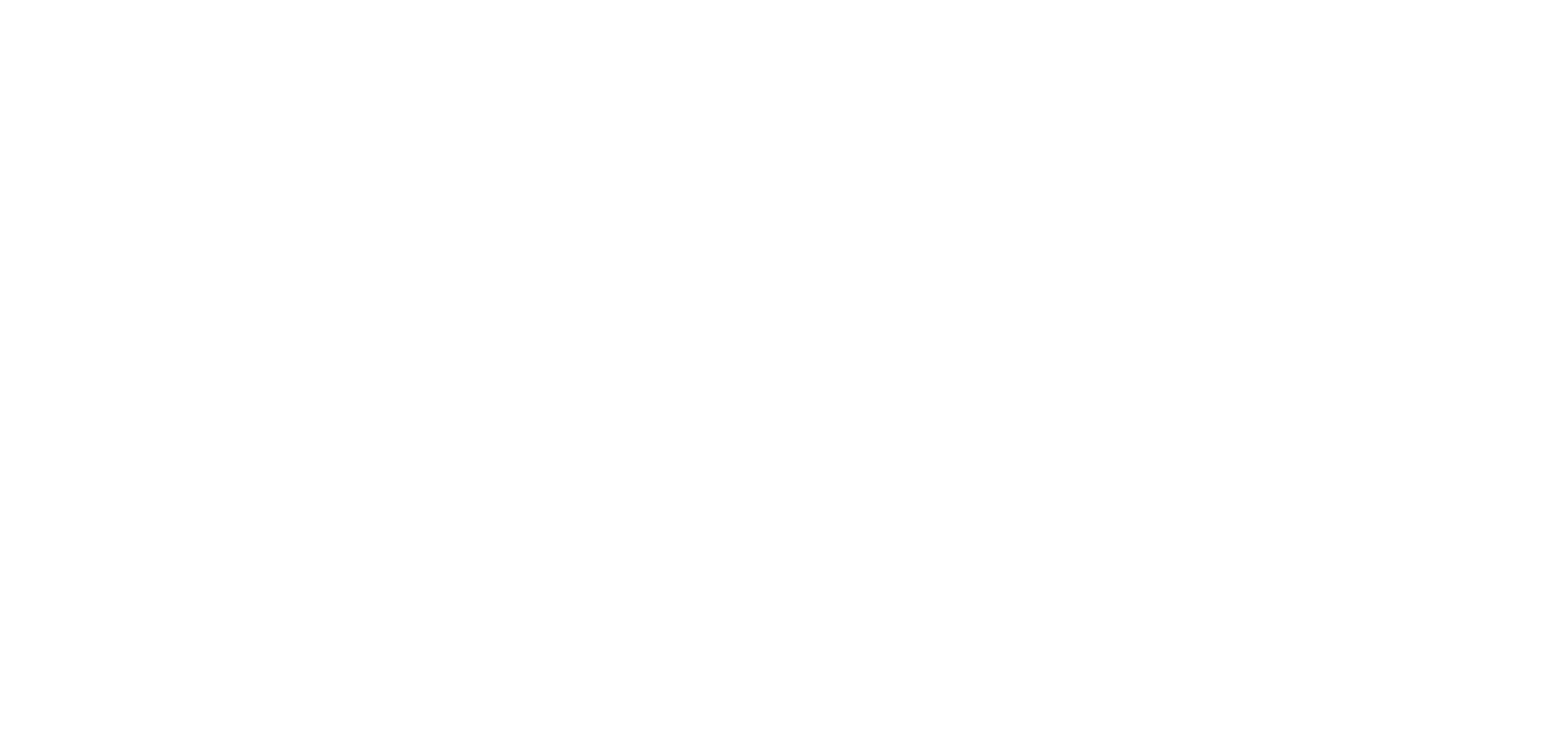 ReiSource Primary Mark White-1
