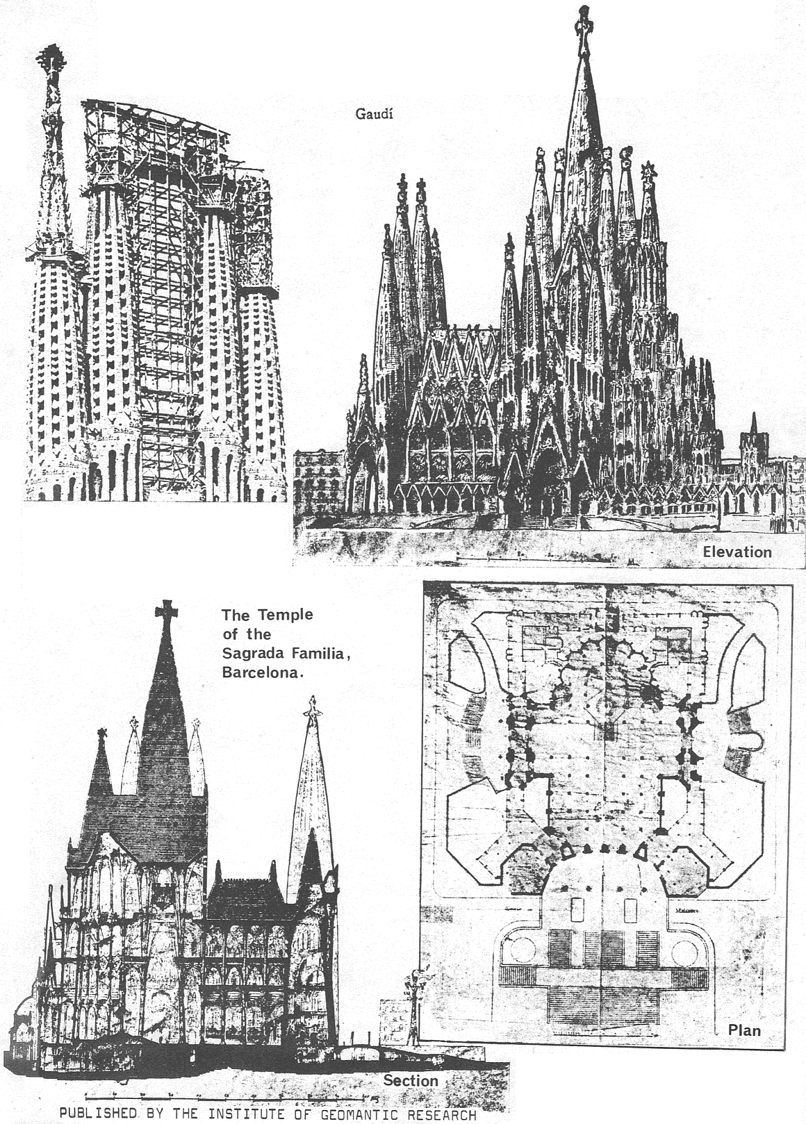 image (21)